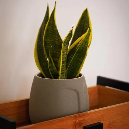 Διαμέρισμα Erodionas Serenity - Corfu Town *